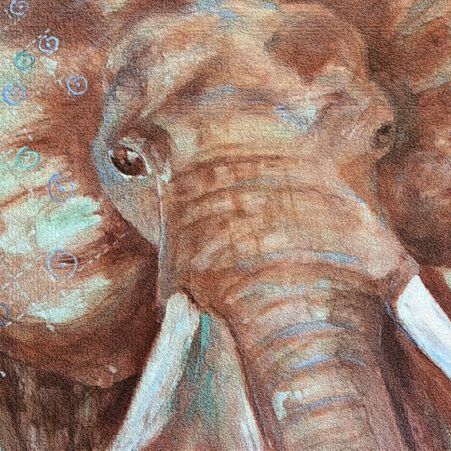 Elephant with Texture